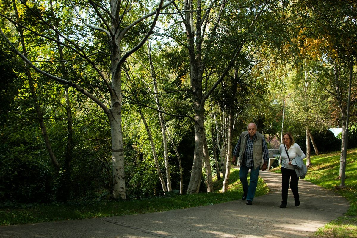 An older couple walking together along a path in a park